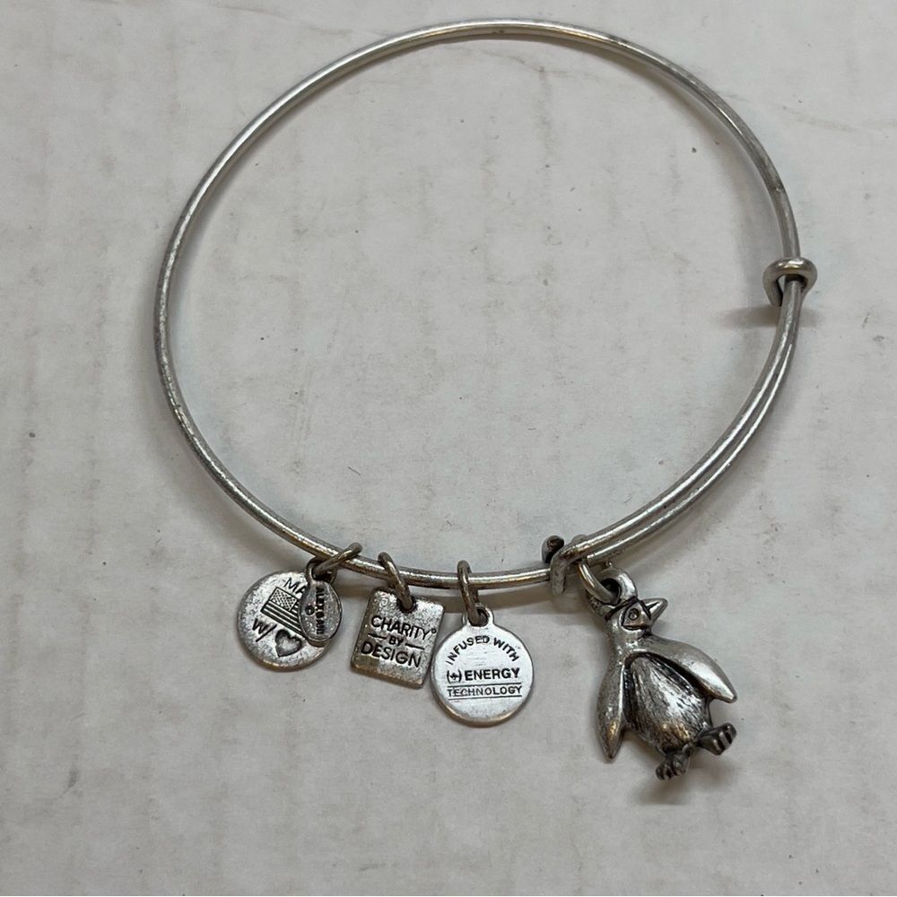 Alex and Ani Silver Penguin Charm Bracelet